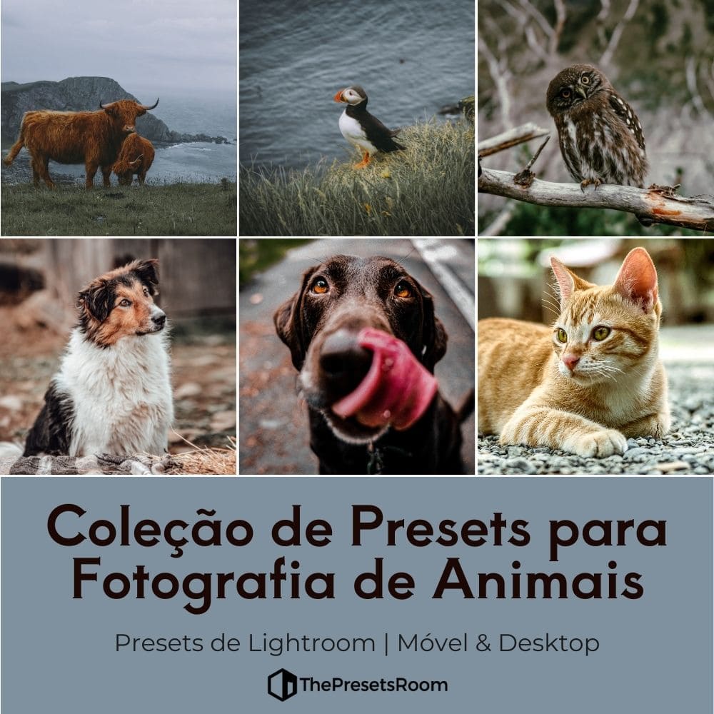 pacote de presets para fotografia de animais