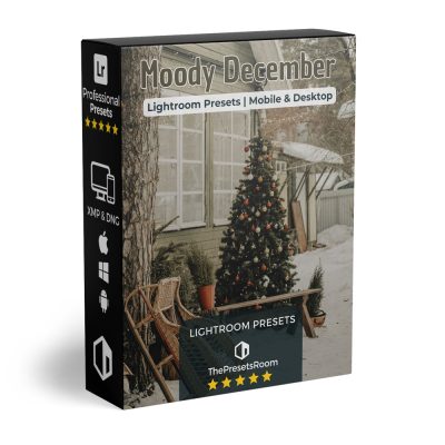 moody christmas presets