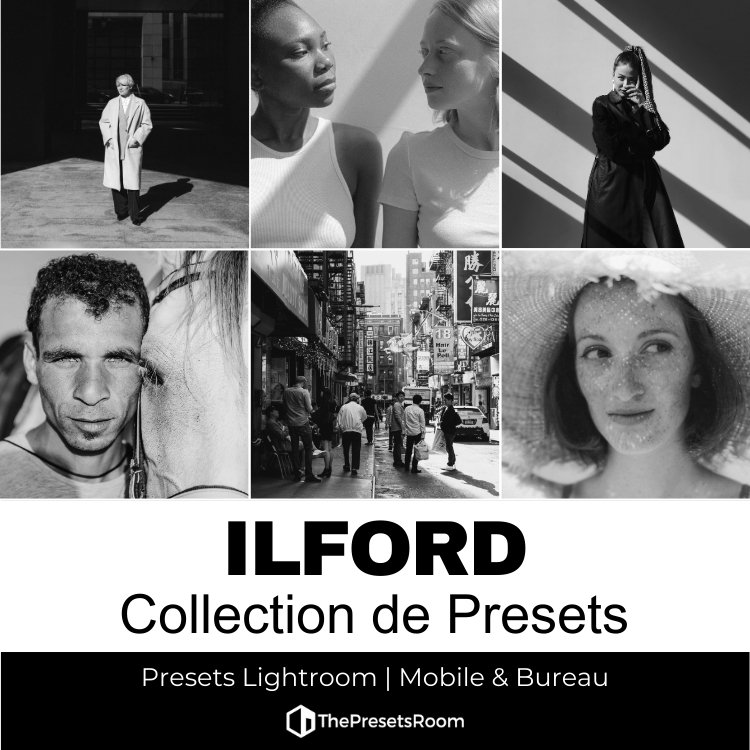 Collection de Presets Ilford