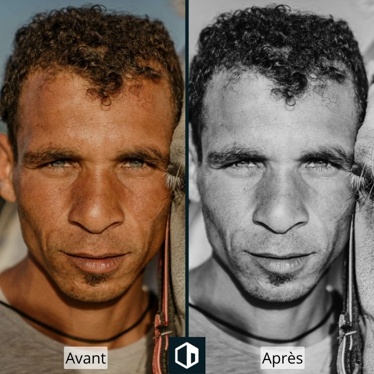 Colección de Presets Ilford