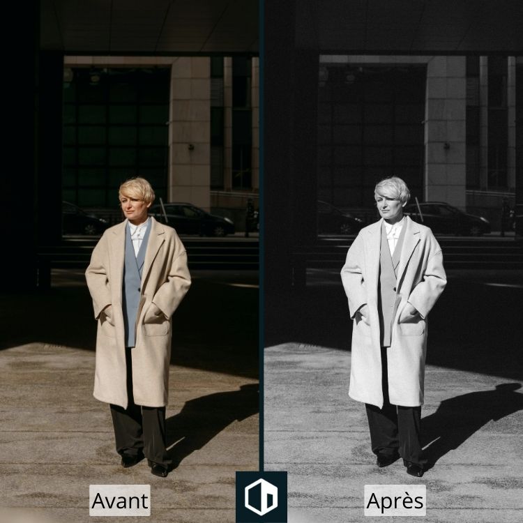 Colección de Presets Ilford