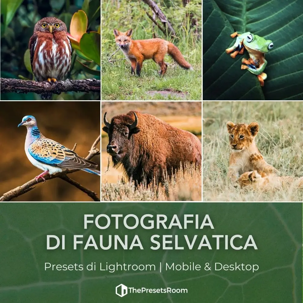 Collezione di preset per fotografia di animali