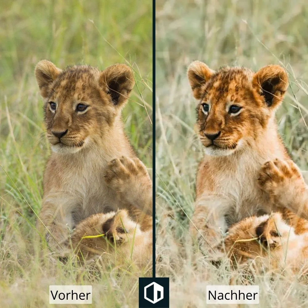 Bearbeitung eines Wildlife-Fotografie-Presets