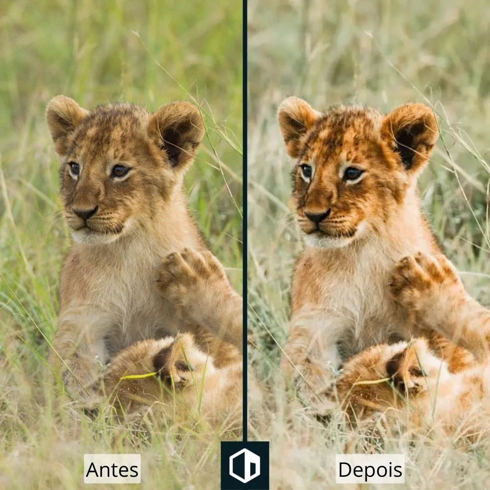 Edição de preset para fotografia de vida selvagem