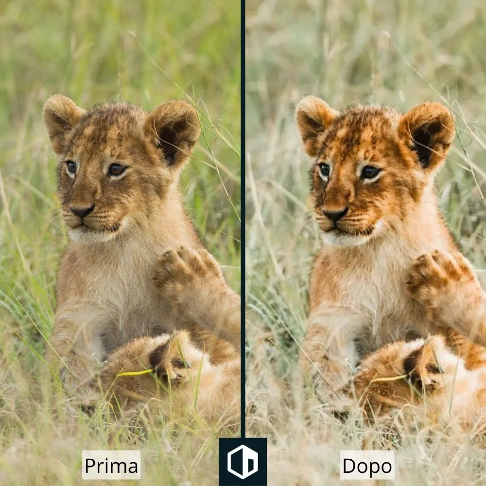 Editing di preset per fotografia della fauna selvatica