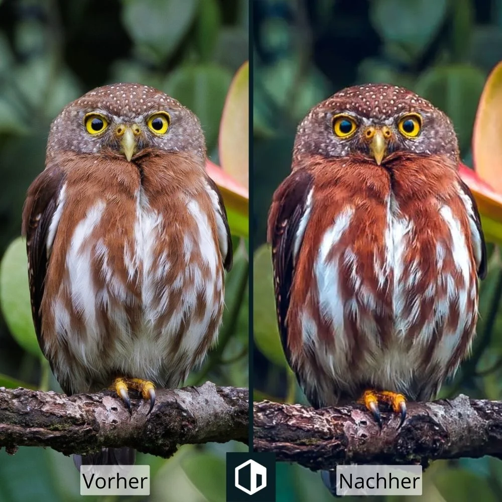 Wildlife-Preset