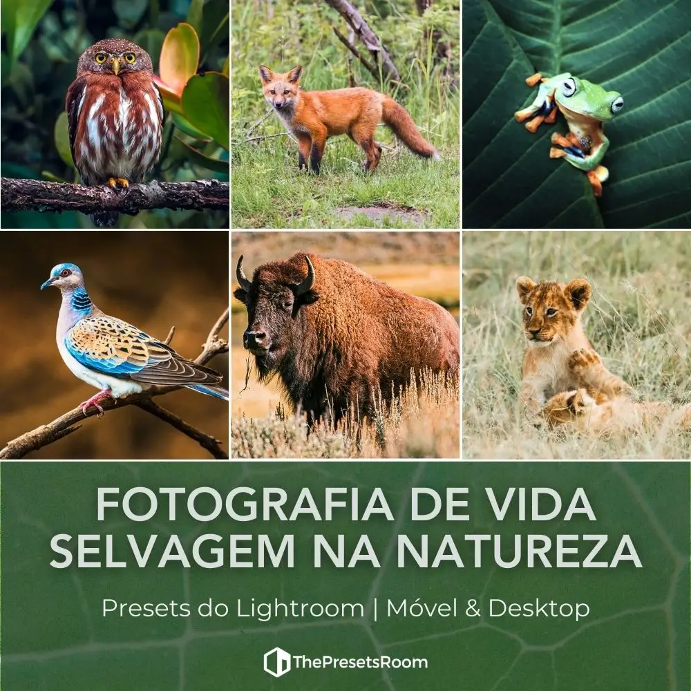 Coleção de presets para fotografia de animais