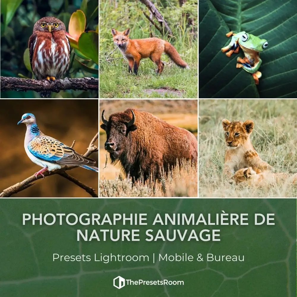 Collection de presets pour la photographie animalière