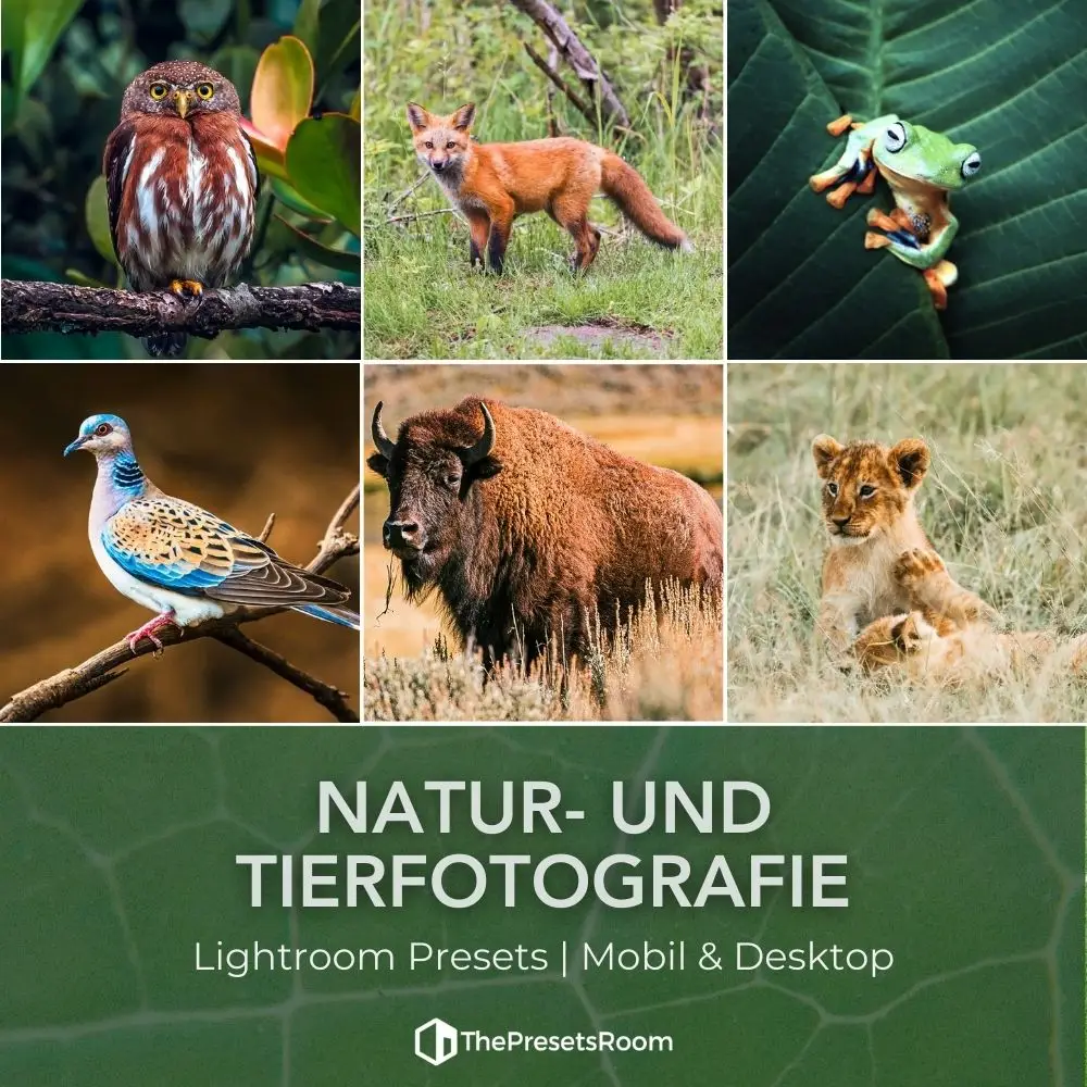 Preset-Sammlung für Tierfotografie
